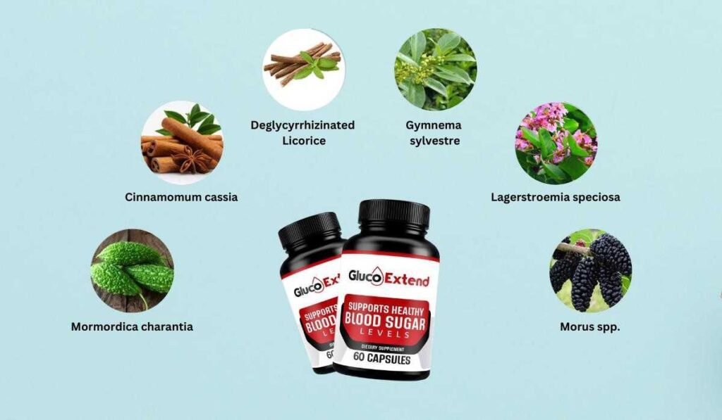Gluco Extend Review