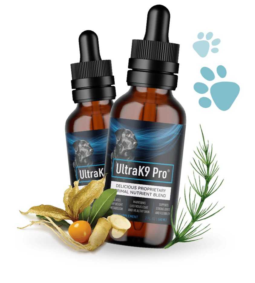 UltraK9 Pro Review