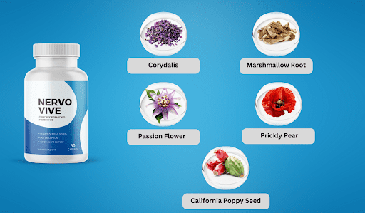 NervoVive Review: Nerve Health Supplement Work?