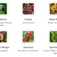 GlucoTonic Review: Can It Really Help Manage Your Blood Sugar Levels?