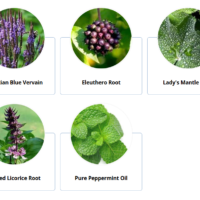 MannaFlux Reviews : Is It Really Good for Weight Management?