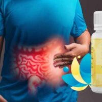 VivoGut Review: Is This Gut Health Supplement Truly Effective?