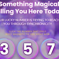 Fortune Reading Review: Does It Work, Is It Legit & Is It Worth it? – 24hoursreview
